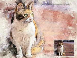 Cat Kitty Watercolor Portrait Digital Art from Photo