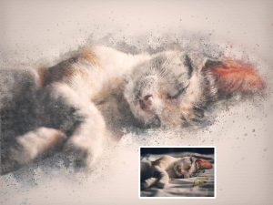 Cat Photo to Custom Chalk Sketch Portrait with Watercolor Splashes