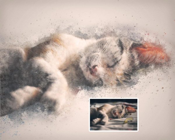 Cat Photo to Custom Chalk Sketch Portrait with Watercolor Splashes