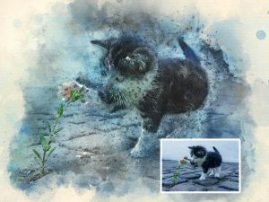 Watercolor Custom Kitty Portrait From Photo Digital Art