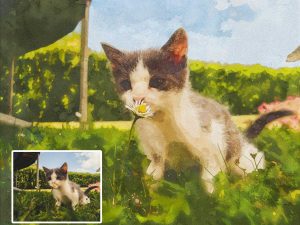 Watercoloro Kitty Artwork from Photo Digital Art