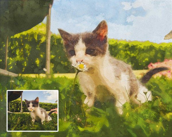 Watercoloro Kitty Artwork from Photo Digital Art