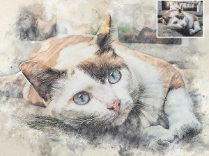 Custom Cat Drawing Photo to Watercolor Digital Art