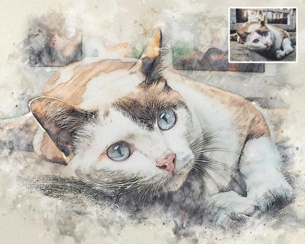 Custom Cat Drawing Photo to Watercolor Digital Art