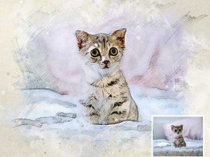 Little Kitty Kitten Photo to Watercolor Digital Portrait