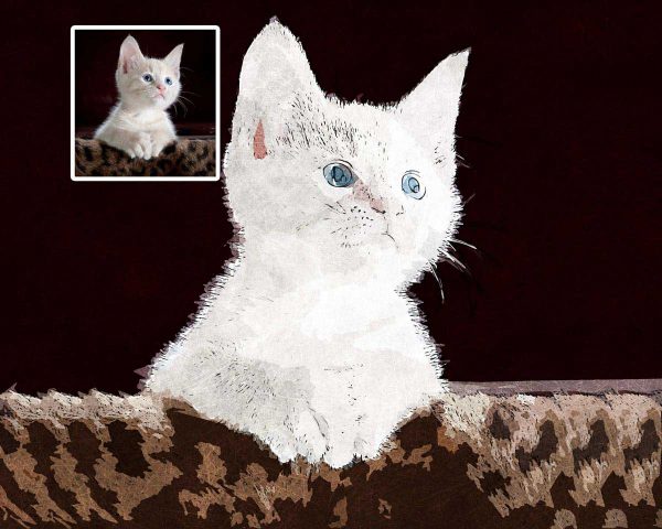 Watercoloro Kitten Portrait from Photo Digital Art