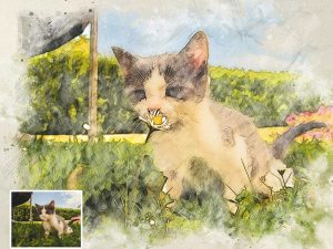 Kitty Picture to Digital Portrait Custom Watercolor