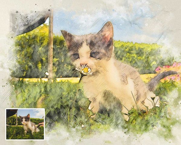 Kitty Picture to Digital Portrait Custom Watercolor