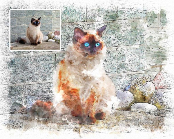 Watercolor Cat Drawing Gift for Cat Owners Digital Art