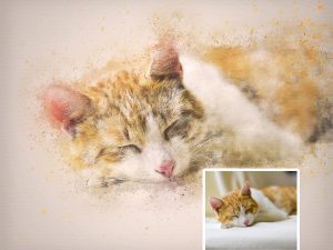 Custom Cat Color Drawing and Watercolor Splash Portrait Digital Artwork