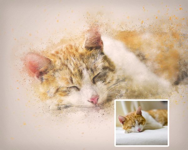 Custom Cat Color Drawing and Watercolor Splash Portrait Digital Artwork