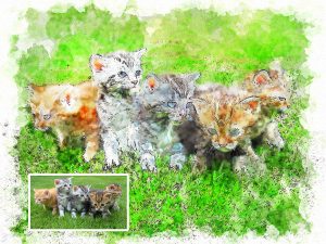 Watercolor Cats Portrait Meow Photo to Digital Art