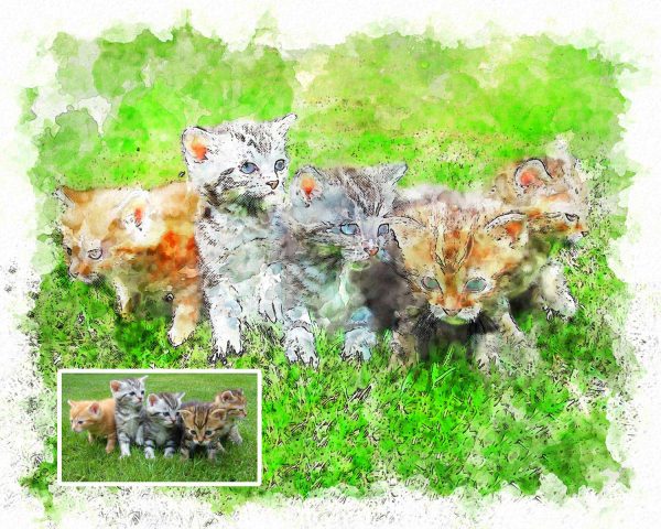 Watercolor Cats Portrait Meow Photo to Digital Art