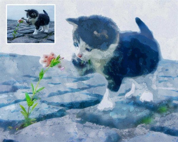 Turn Kitty Photo To Custom Watercolor Portrait Digital Art